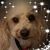 Sue Wood's profile image