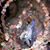 Michele Cordle's profile image