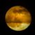 Karen Culpepper-Albert's profile image