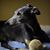 James Guinan's profile image