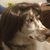 Tiffany And-Shannon Walker's profile image