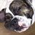 Katie Malone-Houser's profile image