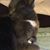Dusty Martowska's profile image