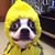 Diane Taylor's profile image
