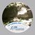 Brenda Irvin's profile image