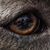 Daniel Park's profile image
