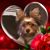 Mary Johnson's profile image