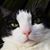 Holly McWilliams's profile image