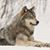 Kenneth T Bickness's profile image