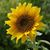 Amber Ribera's profile image