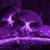 Chuck N Tammy Hungarter's profile image