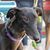 Mary Collins's profile image
