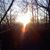 Cynthia Saxe's profile image