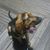 Brian Alden's profile image