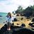 Susan Dawn Carson's profile image