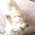 Janice Robinson's profile image
