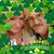 Kathy Lynn Swick's profile image