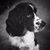 Gail Palmer's profile image