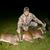 Brad Dickinson's profile image