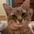 Melissa Newman Overfield's profile image