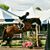 Kathy Carey's profile image