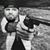 Michael Waters's profile image