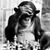 Greg Tomerlin's profile image