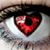 Shae Gross's profile image