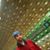 Matt Scott's profile image