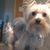 Deb Bodan's profile image