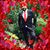 Jasvir Gakhal's profile image