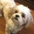 Sherry Lynn Corbitt Chriswell's profile image