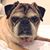 Diana Catherall's profile image