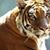 Rachelle Daff's profile image