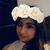 Jacqueline Cabrera's profile image