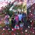 Ellen Vitez's profile image
