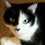 Linda Benci's profile image