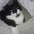 Leslie Starr's profile image