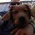 Samsen Quiel's profile image