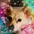 Marlena Rovansek Moore's profile image