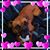 Jesse Paul Rushing's profile image