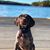 Deanna George's profile image