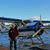 Dave Dougall's profile image