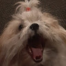 Kayla R.'s profile image