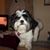 Betsy Maines's profile image