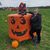 Kerry Anne's profile image