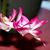 Connie Tam's profile image