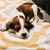 Christy Thompson's profile image