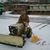 Jesse Baker's profile image
