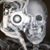 Joe Falcetti's profile image